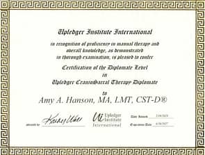 Amy Hanson Diplomate Certificate